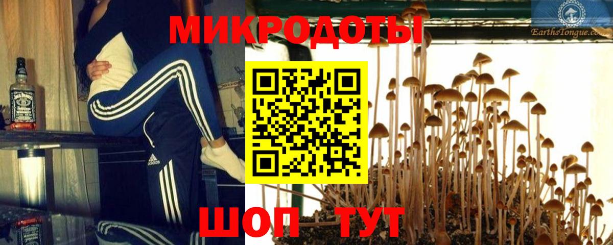 Унеча  Галлюциногенные грибы Psilocybe  Вход с VPN 